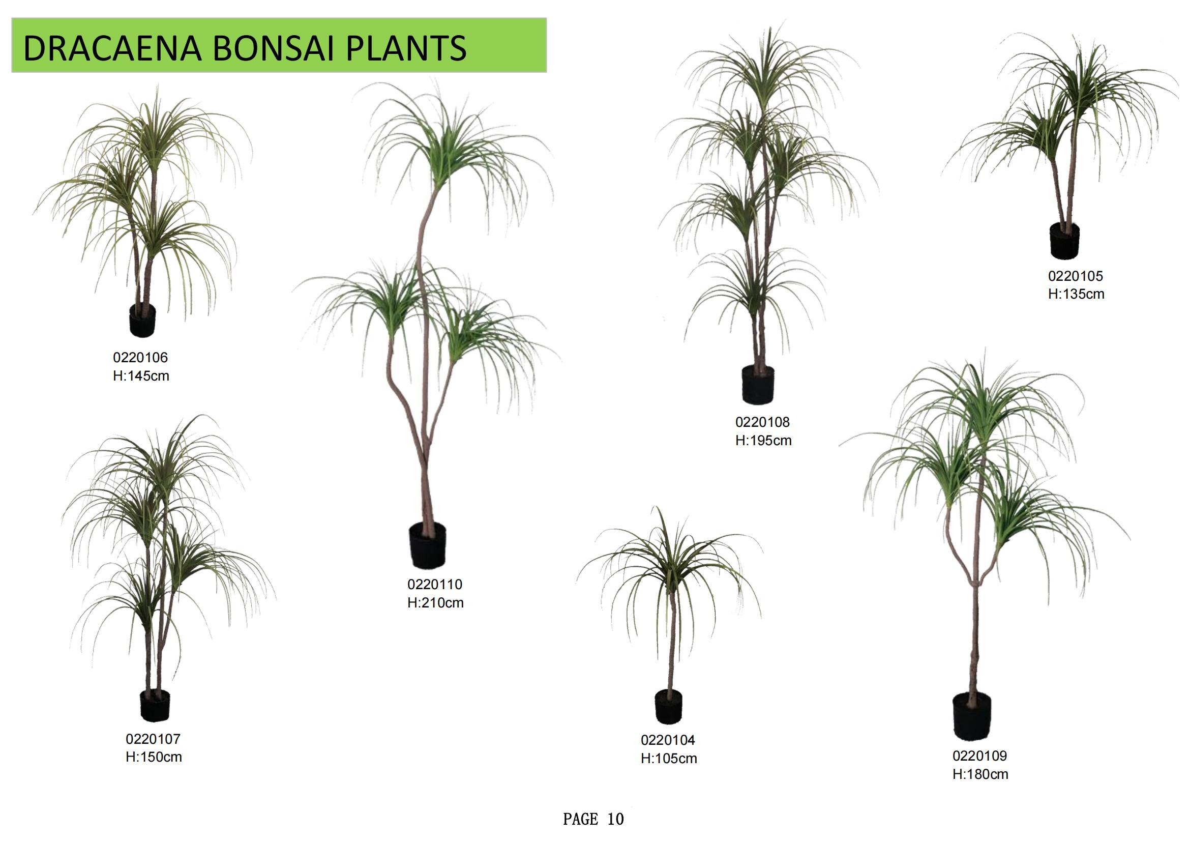 Casabella ARTIFICIAL BONSAI TREE_09.jpg